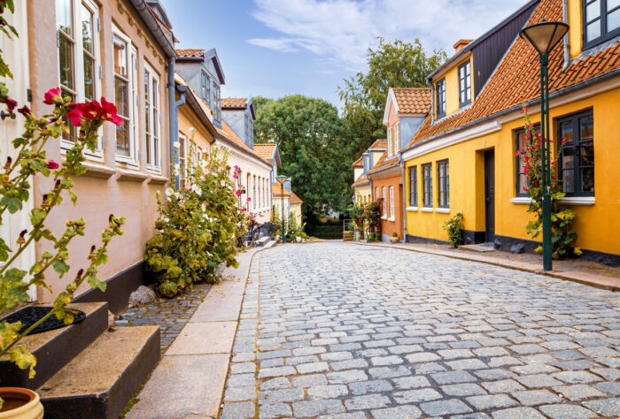 Quiet side street in city Odense. Denmark with the typical hollyhock plants growing along the house facades.