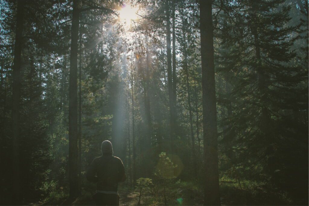 Person der står i en skov.